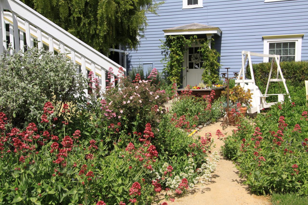 Olallieberry Bed and breakfast 5*